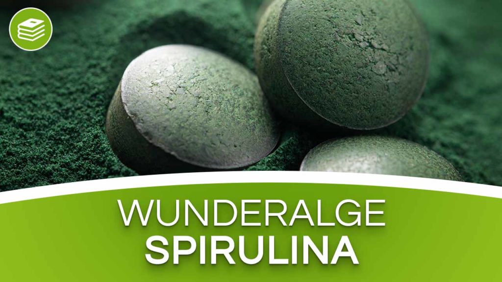 Spirulina die Wunderalge