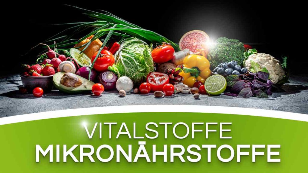 Vitalstoffe und Mikronährstoffe