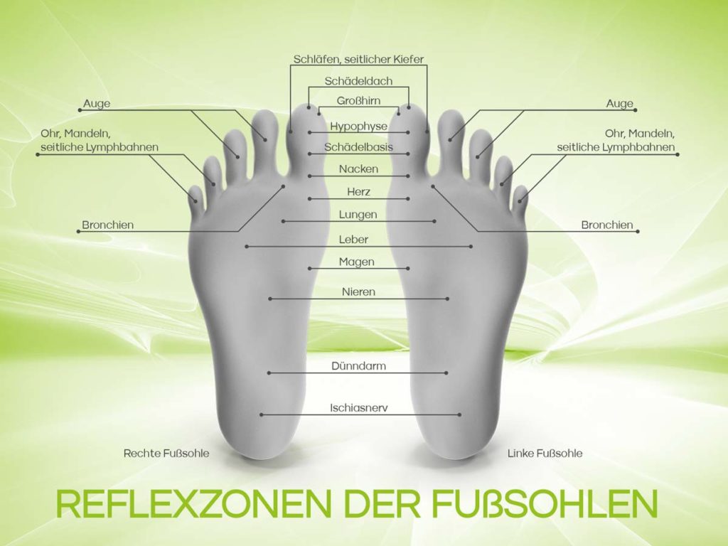 Fußreflexzonen Tafel kostenlos